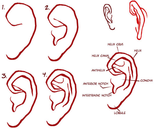 5 công cụ sinh trắc học thay thế mật khẩu trong tương lai