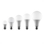 Đèn led bulb trắng sứ siêu sáng CET-A65-10W